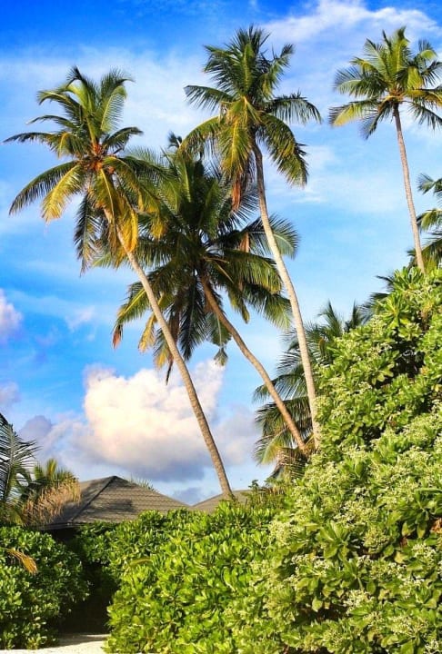 Unglaublich schön Kuredu Island Resort & Spa