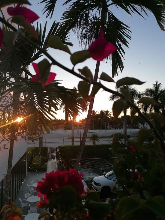 Gartenanlage Crowne Plaza Miami International Airport