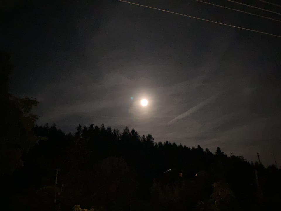 Ausblick S'Fleckli Bioland Ferienbauernhof