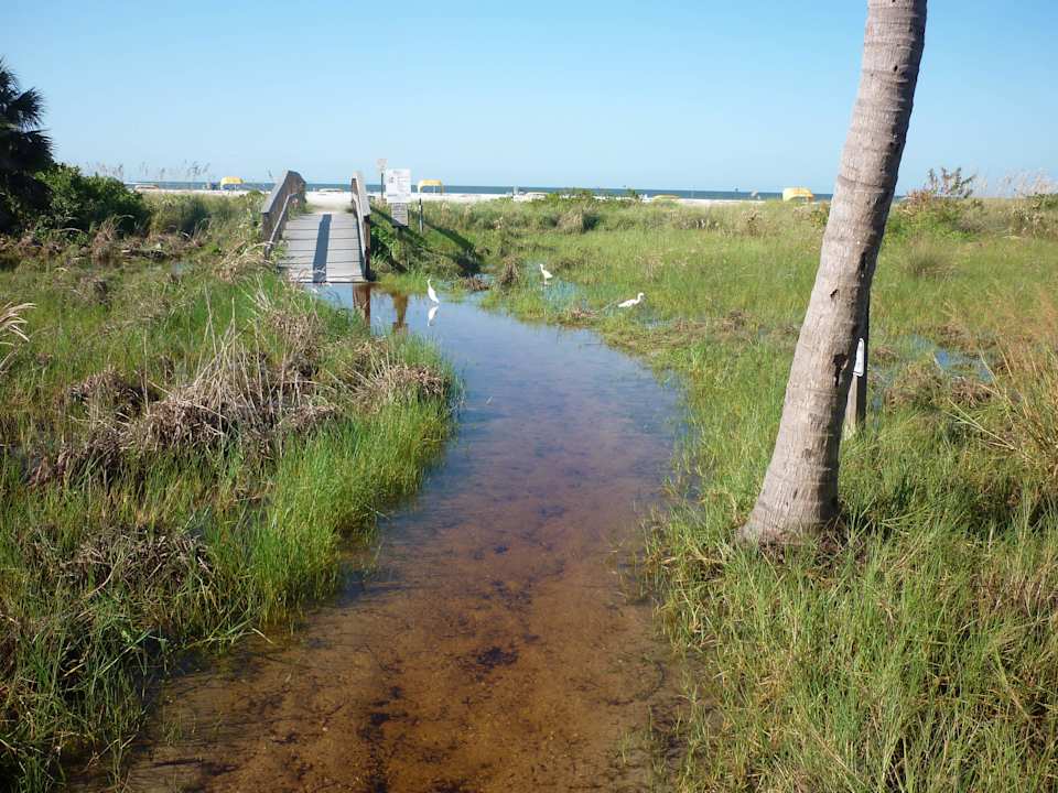 Das wäre der kürzeste Weg zum Strand Residence Inn by Marriott St. Petersburg Treasure Island