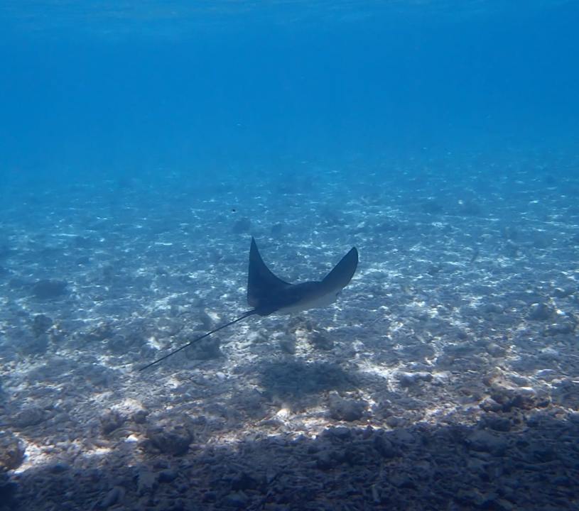 Sonstiges Thulhagiri Island Resort