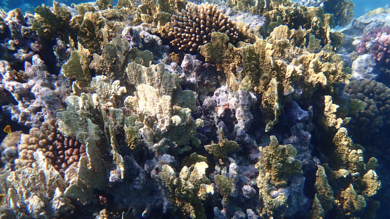 Sport & Freizeit Makadi Spa - Adults only