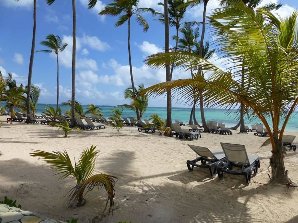 Viele Palmen Barceló Bávaro Palace