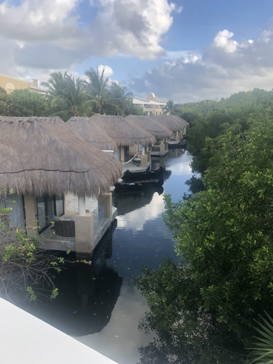 Ausblick TRS Yucatan Hotel - Adults only