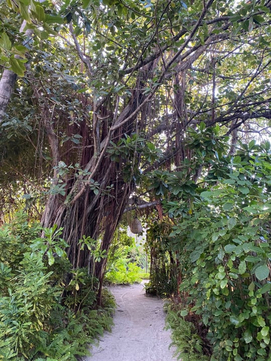Gartenanlage Komandoo Island Resort & Spa - Adults only
