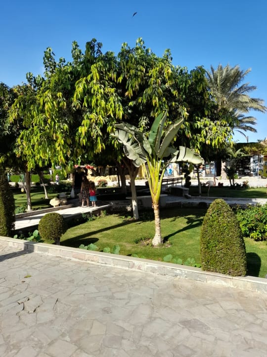 Gartenanlage Seagull Beach Resort