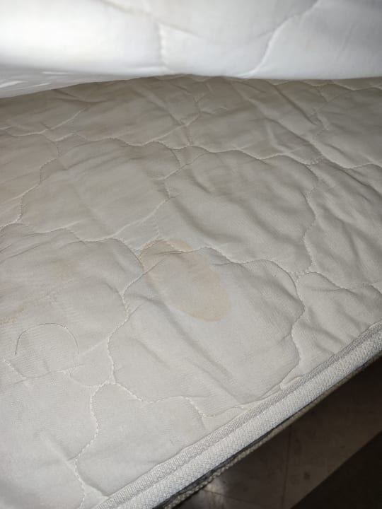 Zimmer Makadi Spa - Adults only