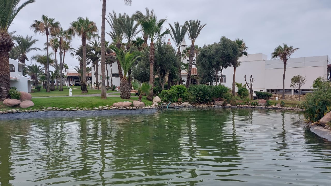 Gartenanlage Hotel Riu Tikida Dunas