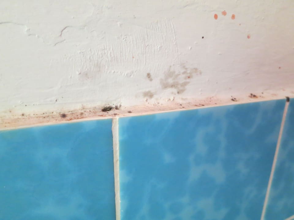 Schmutzige Fuge im Bad Loreley Hotel zur Erholung