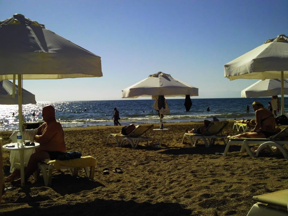 Strand Acanthus Cennet Barut Collection