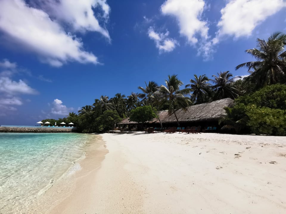 Gastro Summer Island Maldives