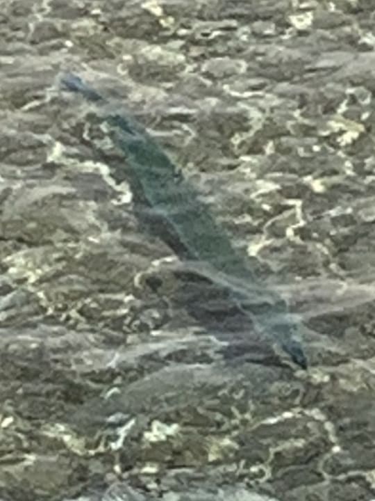 Strand Cleopatra Luxury Resort Makadi Bay