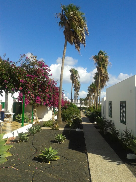 Weg durch die Anlage Hotel Hyde Park Lane