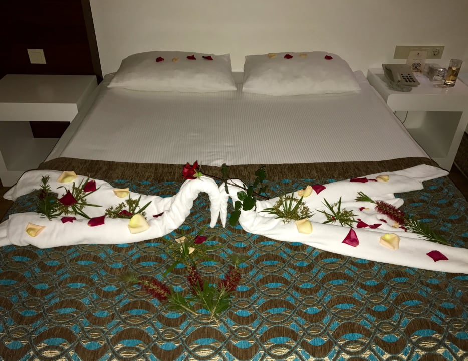 Zimmer Seaden Sea World Resort & Spa