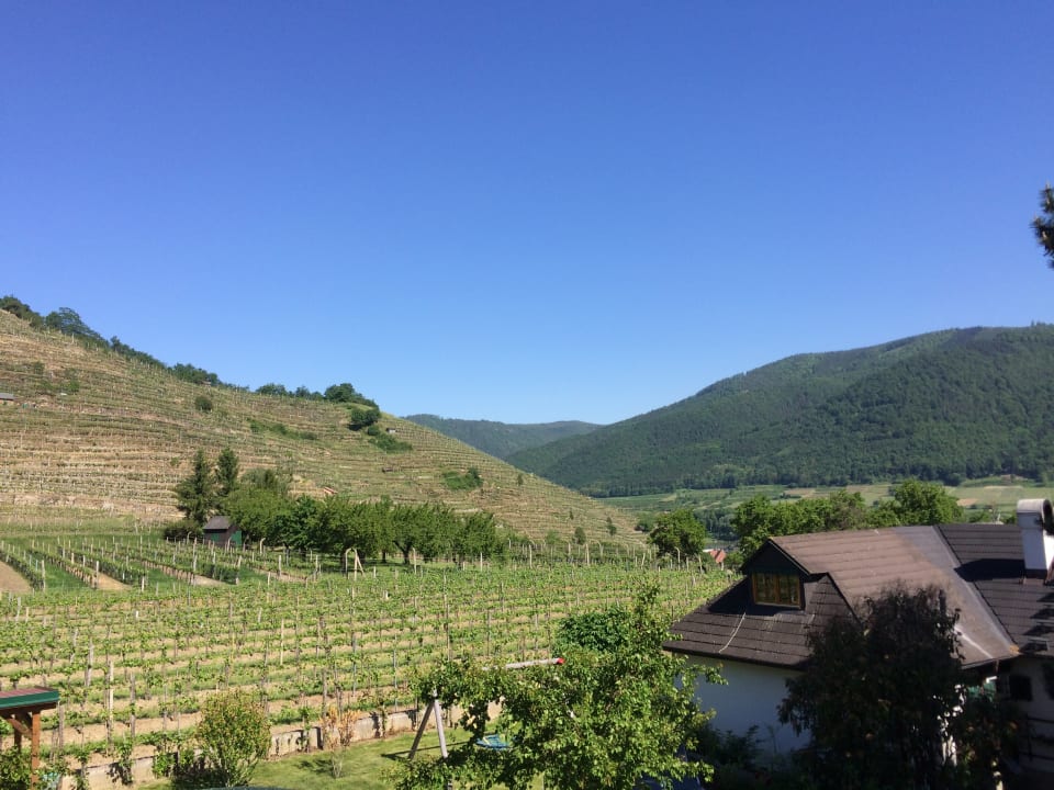 Ausblick Gästehaus Weinbergblick