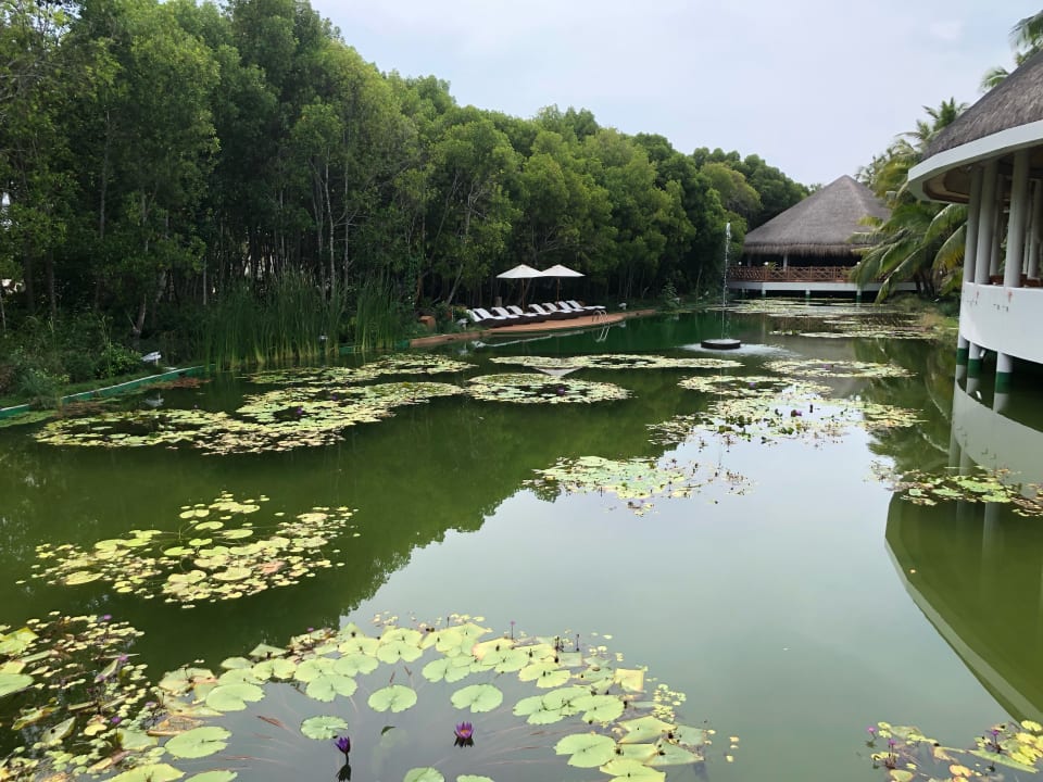 Schwimmsee Dreamland The Unique Sea & Lake Resort / Spa