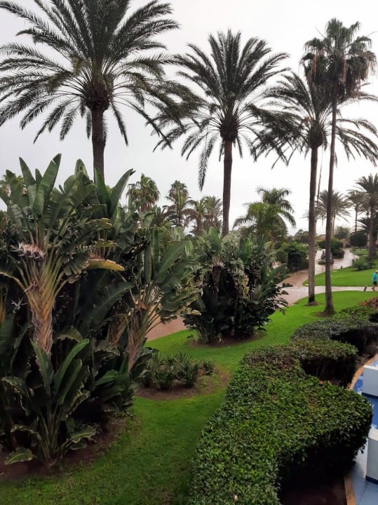 Gartenanlage R2 Pajara Beach