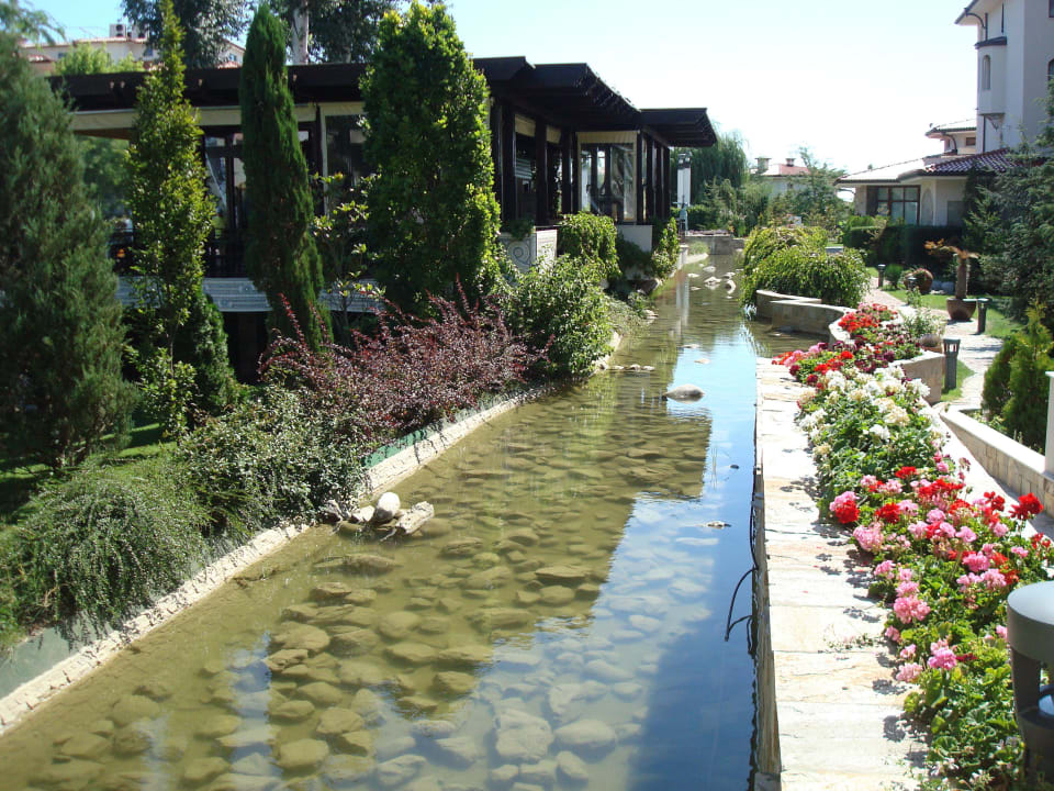 Schön gepflegte Gartenanlage Helena Sands