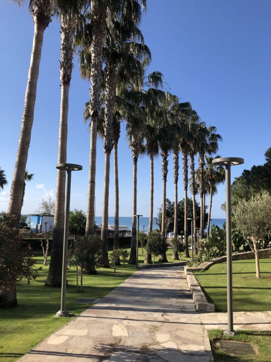 Gartenanlage Arum Barut Collection