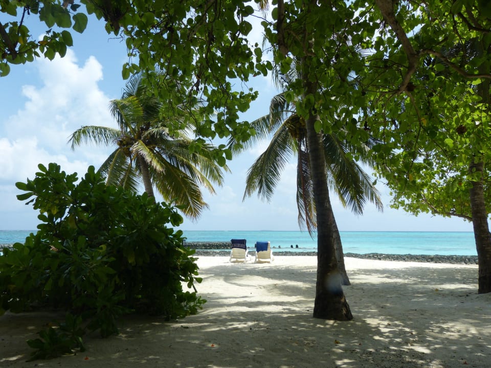 Superiorbungalow 206 Summer Island Maldives