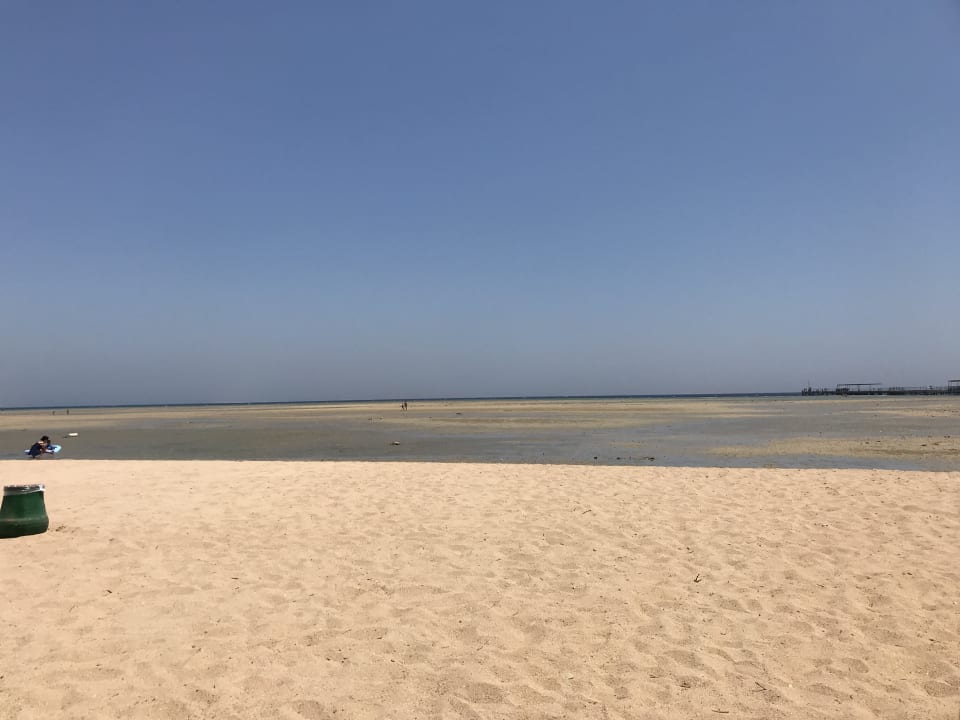 Strand Hotel Titanic Palace