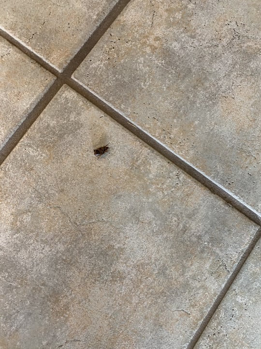 Gastro Hotel Hohwachter Hof