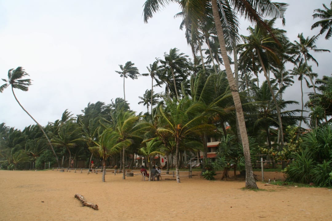 Mermaid Mermaid Hotel & Club