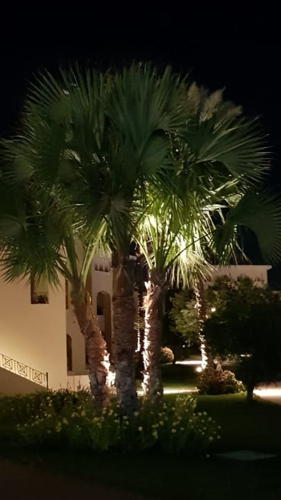 Gartenanlage Cleopatra Luxury Resort Makadi Bay