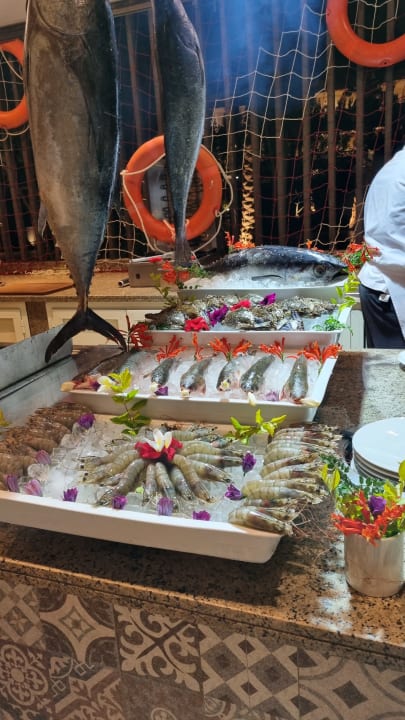 Gastro JAZ Elite Casa del Mar Beach