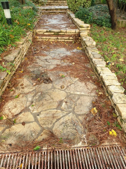 Gartenanlage Side Star Elegance