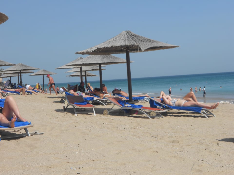 Genügend Liegen Miramar Al Aqah Beach Resort
