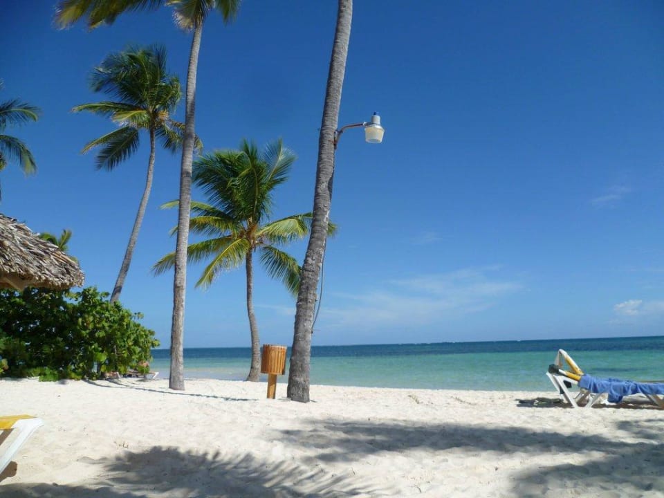 Das Bild spricht für sich, oder?  Catalonia Punta Cana - All Inclusive