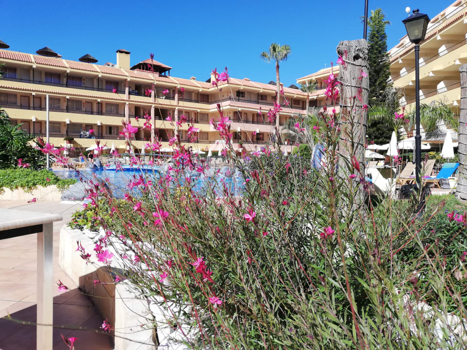 Sonstiges HOVIMA Jardin Caleta