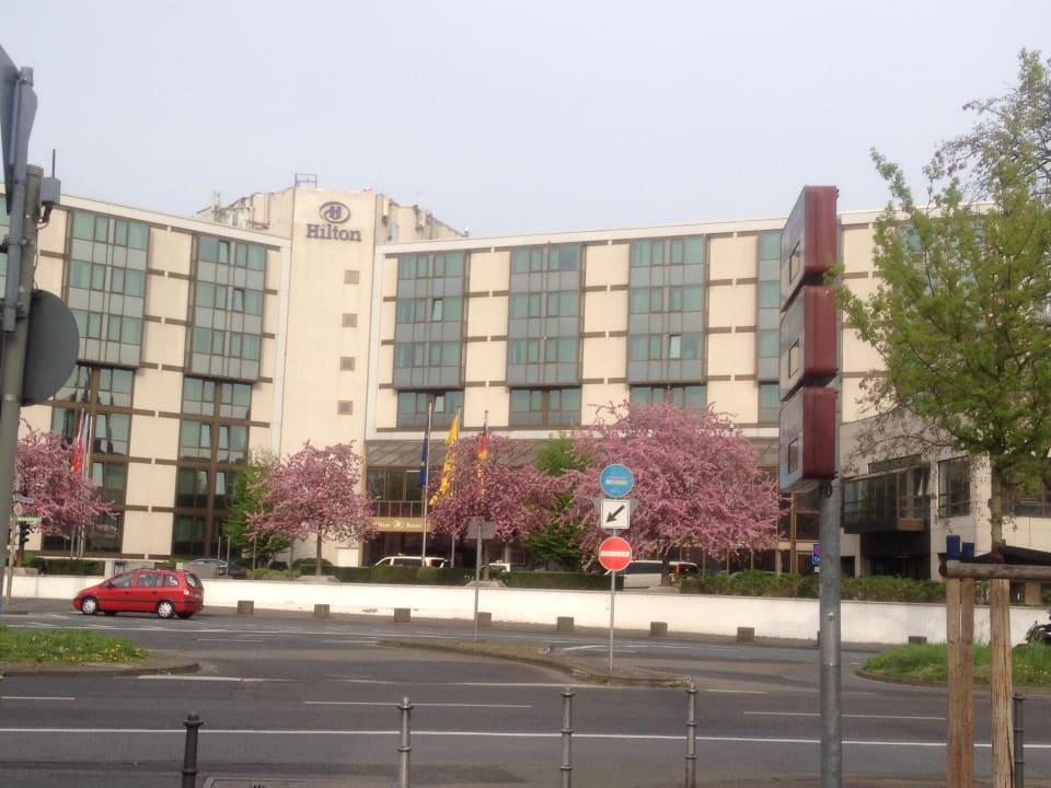 Hotel direkt am Rhein  Hilton Mainz