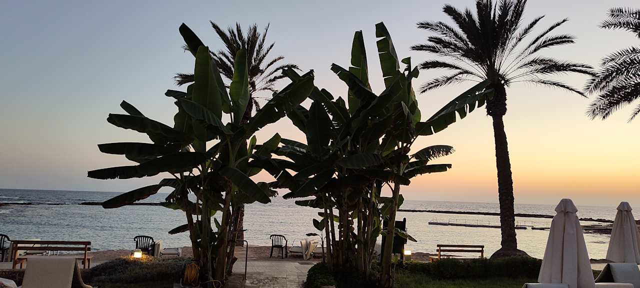 Außenansicht TUI BLUE Pioneer Beach