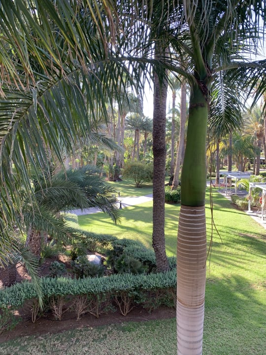 Gartenanlage Hotel Riu Palace Oasis