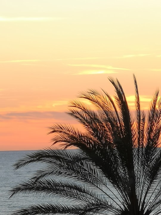 Ausblick Aparthotel Fontanellas Playa