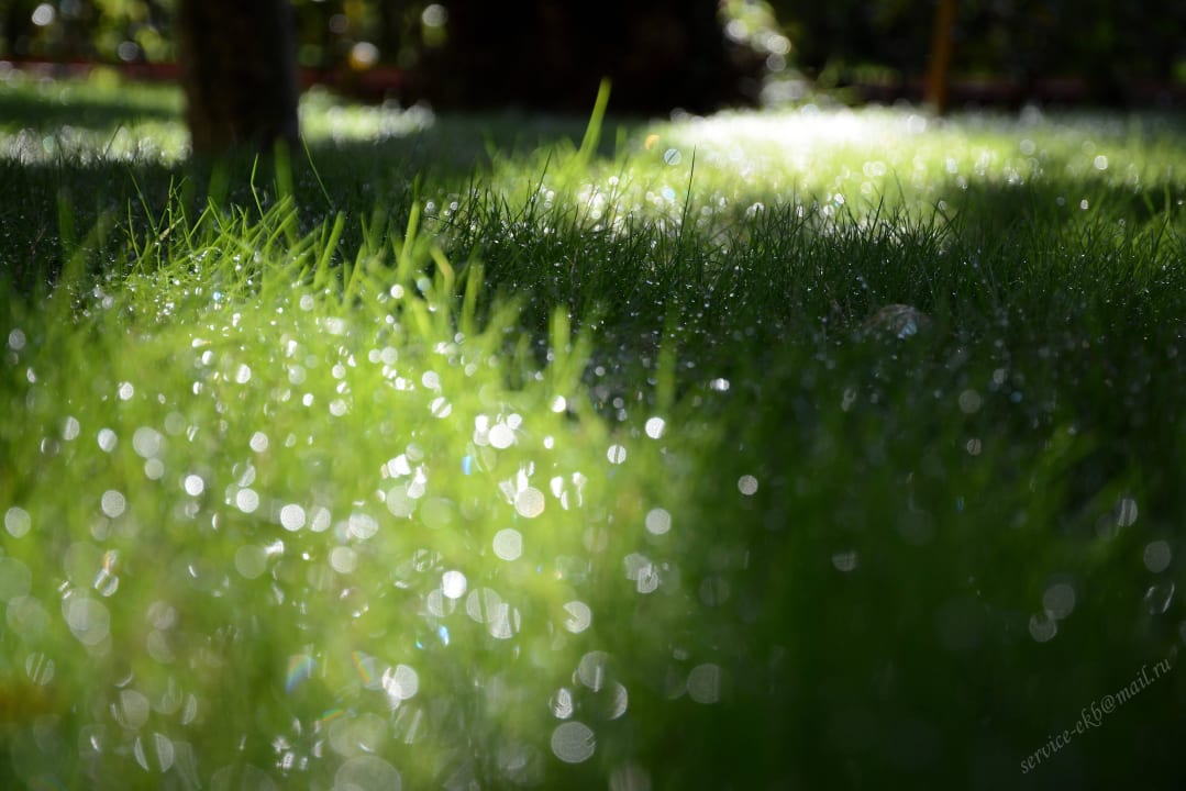 Delphin Imperial Hotel Delphin Imperial