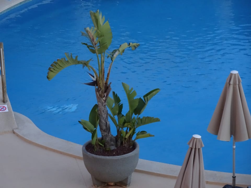 Pool JS Alcudi Mar