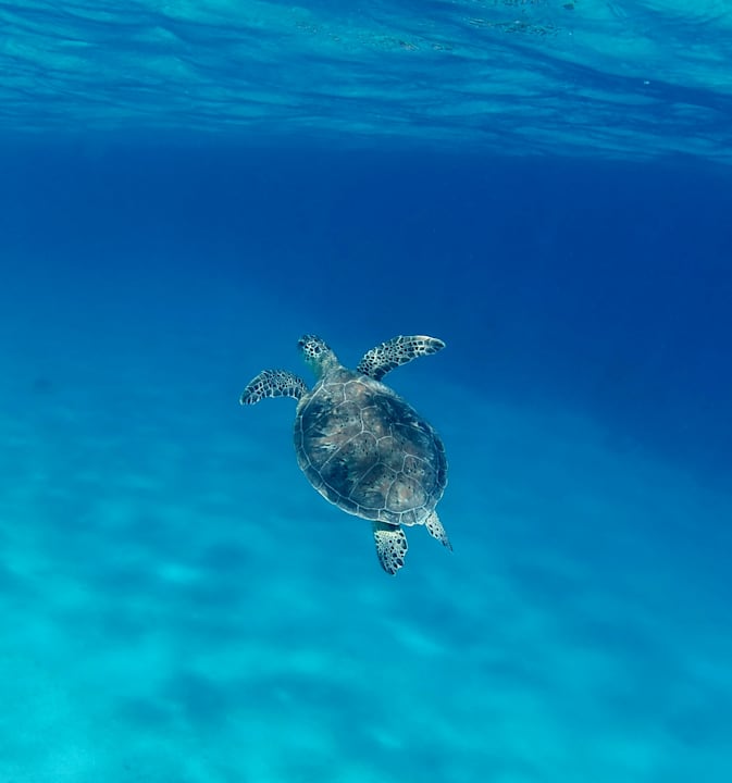 Strand Stella Beach Resort & Spa Makadi Bay