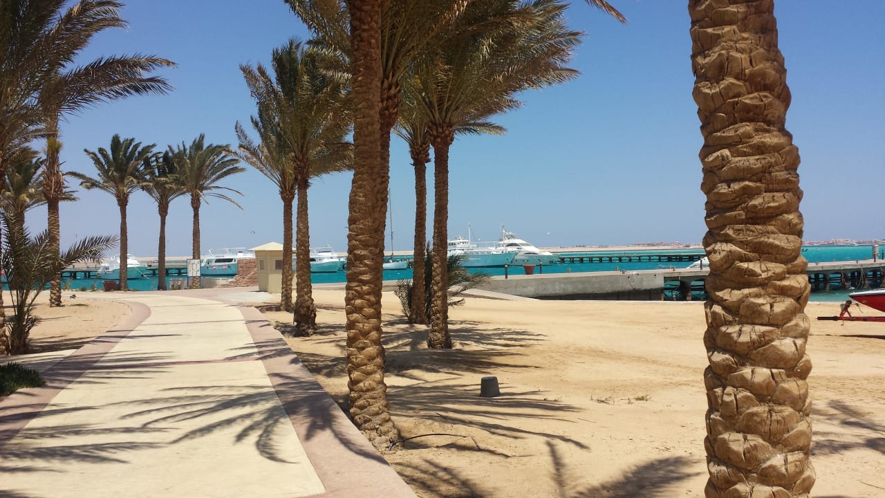 Palm Royal  Palm Royale Resort - Soma Bay