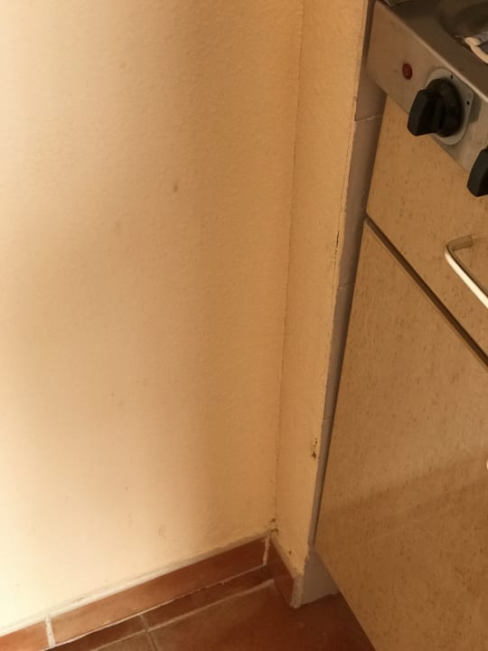 Zimmer Zafiro Can Picafort