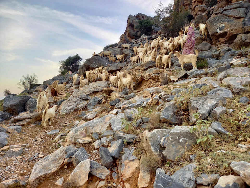 Sport & Freizeit the suwgra-Al-Jabal Al-Akdar