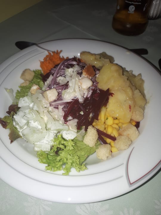 Gastro Bergsporthotel Antonie