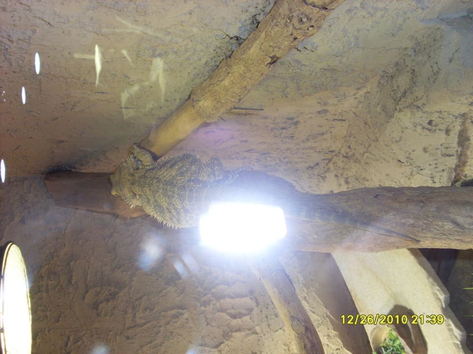 Dschungelland Ferienwohnungen Ferienpark Weissenhäuser Strand