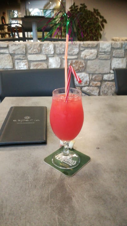 Gastro Hotel Esperia