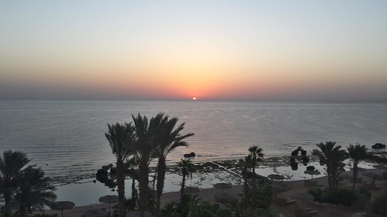 Sonnenaufgang  Pickalbatros Citadel Resort
