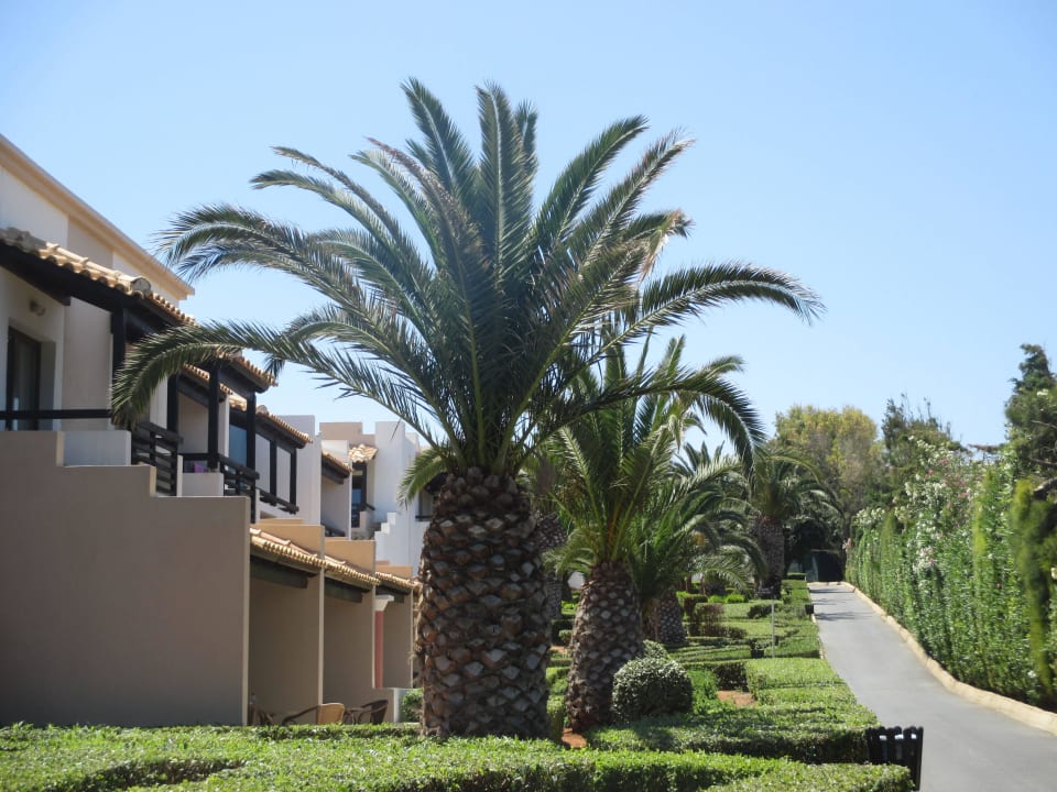 Diverse Bungalows Knossos Royal