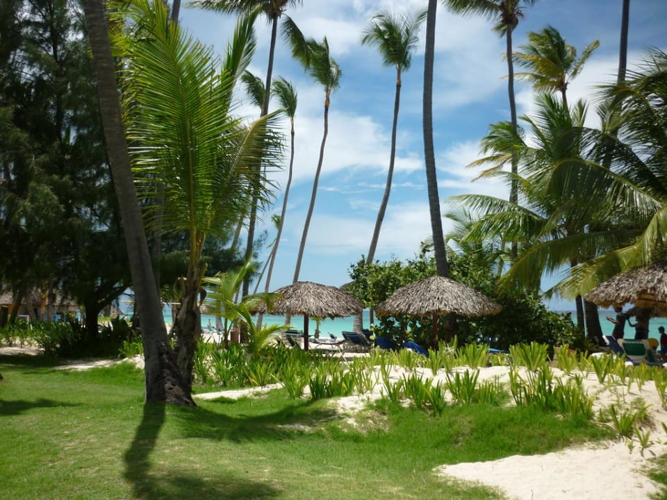 Irgendwo in der Anlage Hotel Grand Palladium Palace Resort, Spa & Casino