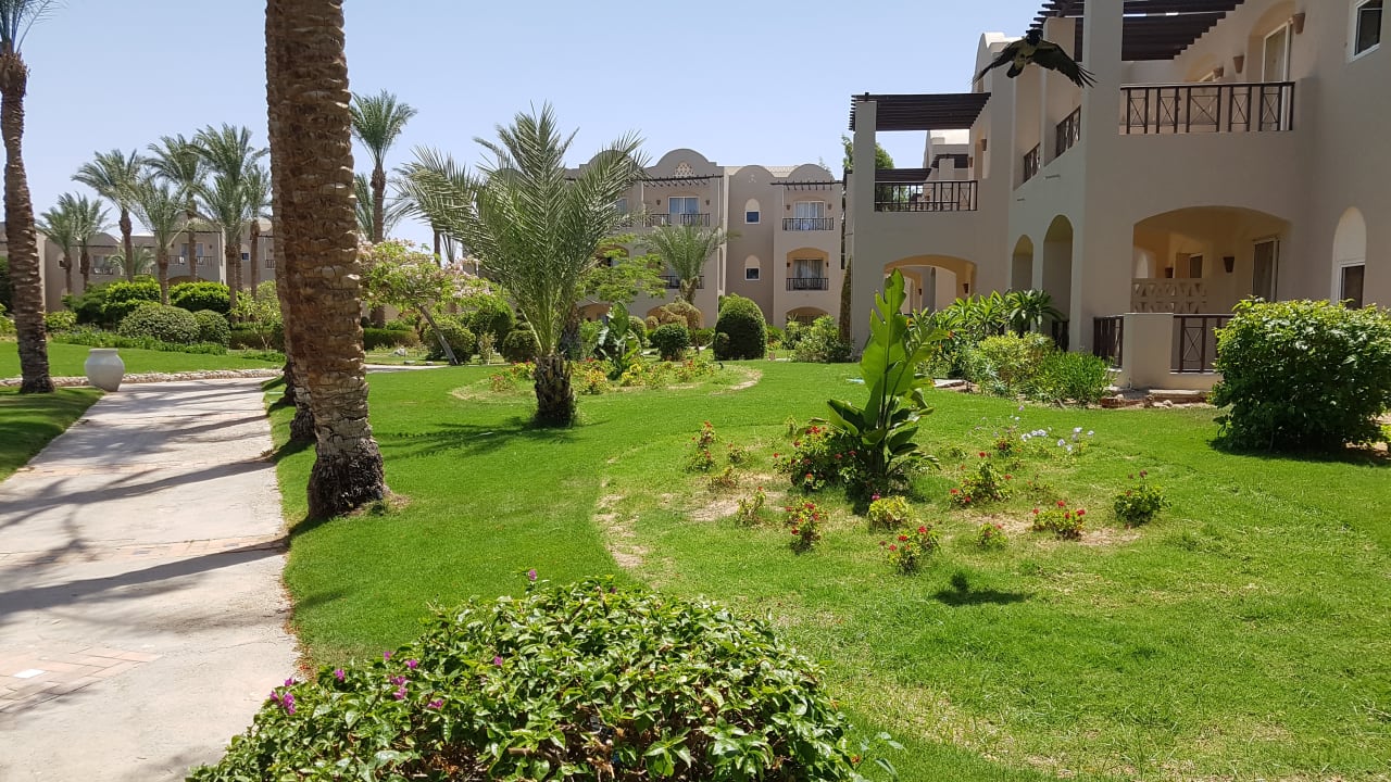 Gartenanlage Jaz Makadi Oasis Resort